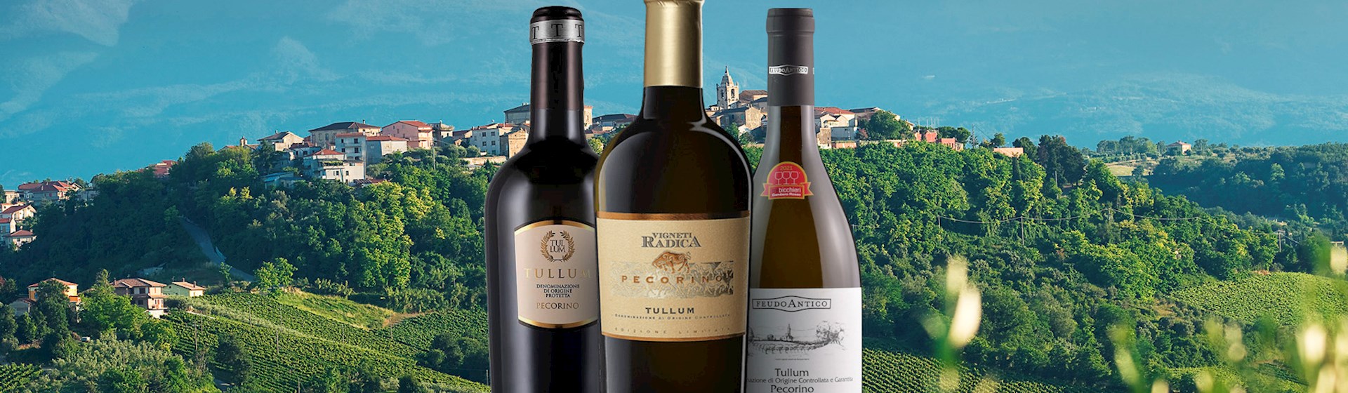 Top 5 Local Wines in the Province of Chieti - TasteAtlas, image size:1920x560