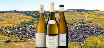 Petit Chablis
