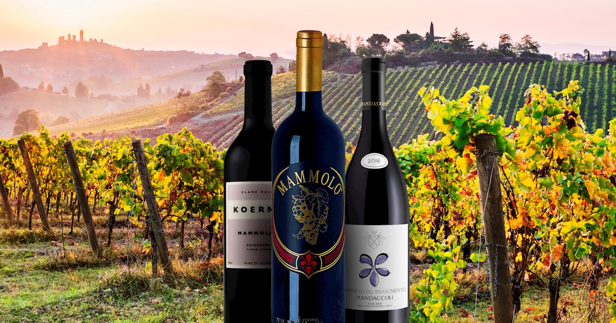 Mammolo | Local Wine Variety From Tuscany, Italy