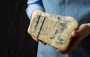 Gorgonzola