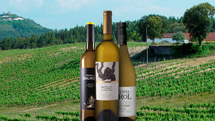 10 Most Popular Portuguese White Wines TasteAtlas