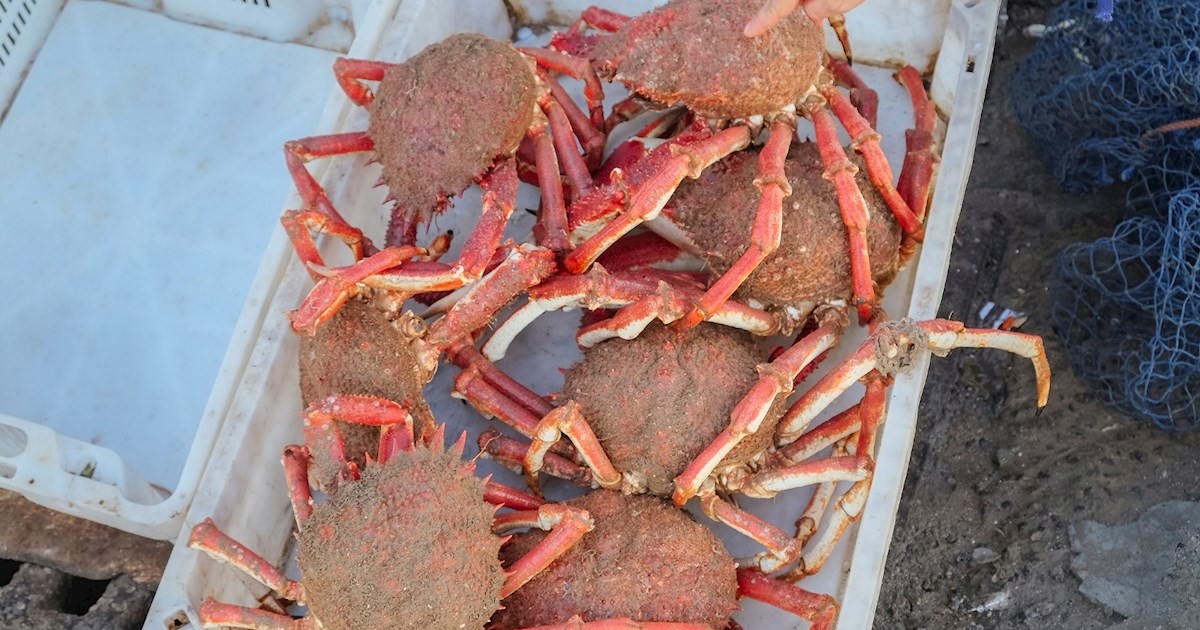 8 Best Seafood in the Basque Country - TasteAtlas