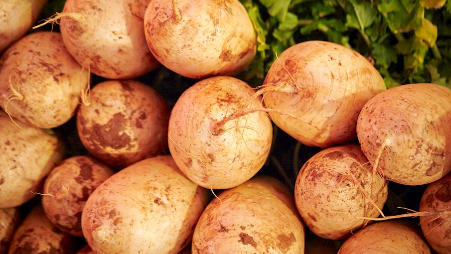 3 Most Popular Korean Vegetables TasteAtlas