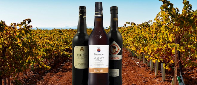 Spanish Fortified Wines: 11 Fortified Wine Types in Spain | TasteAtlas