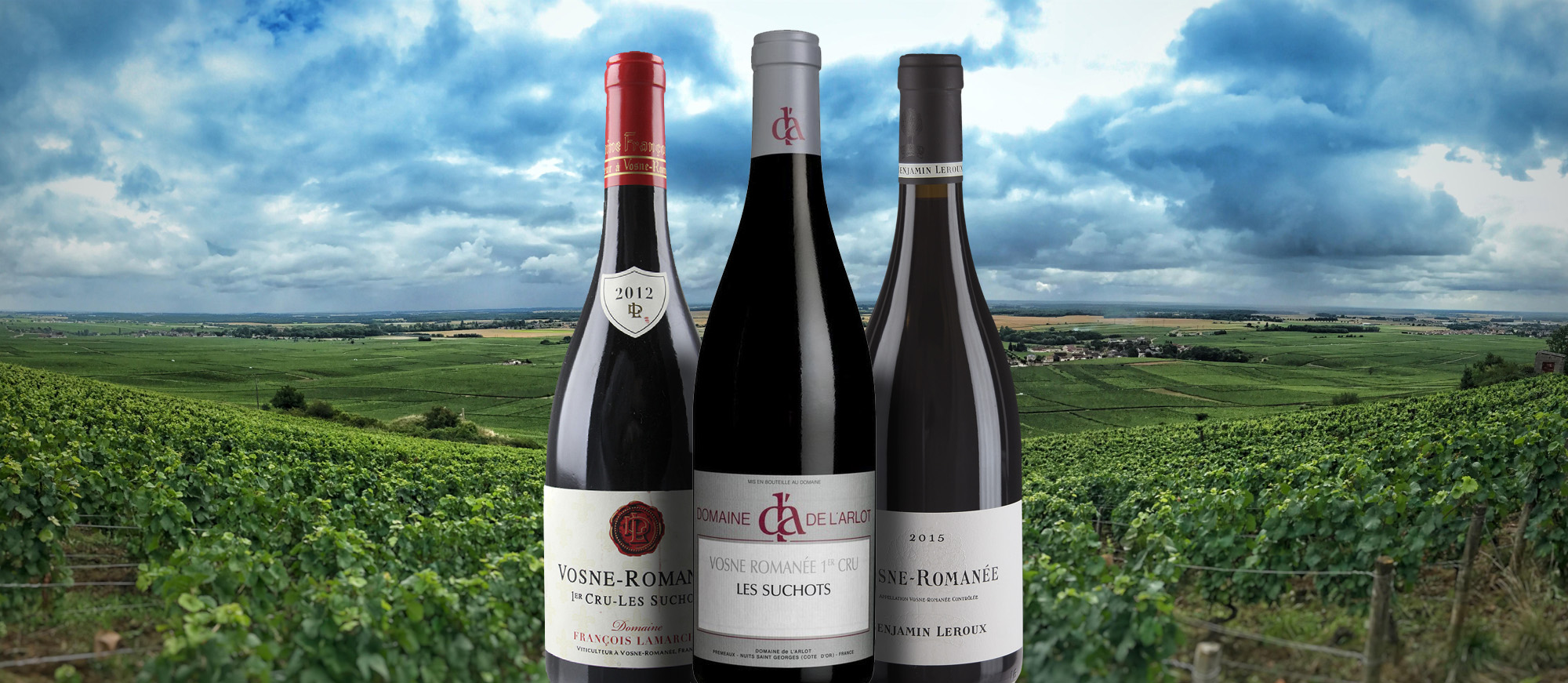 Vosne-Romanée | Local Wine Appellation From Vosne-Romanée, France ...