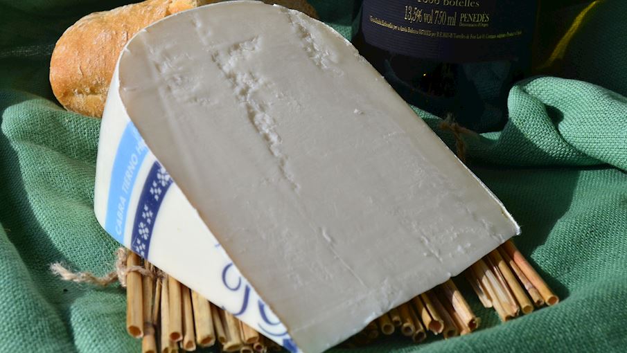 10 Most Popular Dutch Cheeses TasteAtlas