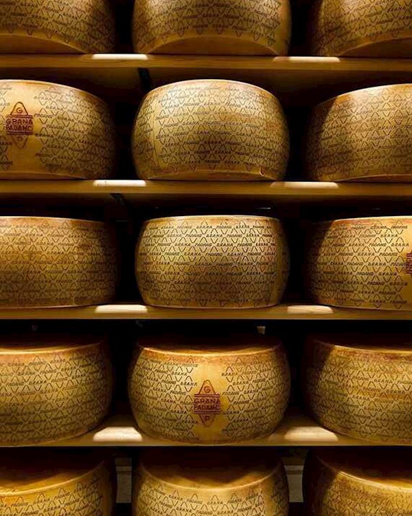 Grana Padano  Local Cheese From Lombardy, Italy