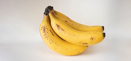 Cavendish banana