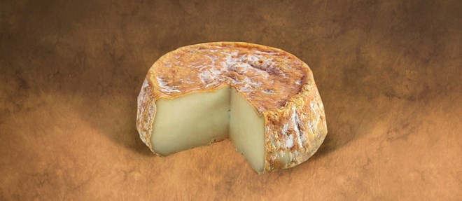 Corsican Cheeses: 13 Cheese Types in Corsica | TasteAtlas