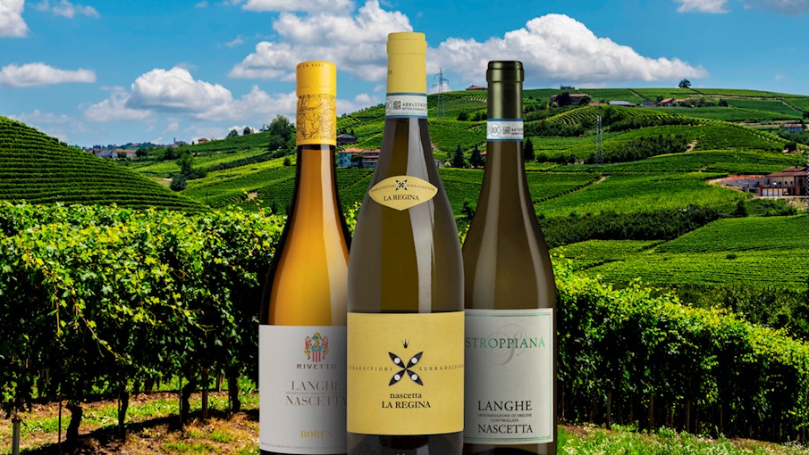 50 Most Popular Italian White Wines TasteAtlas