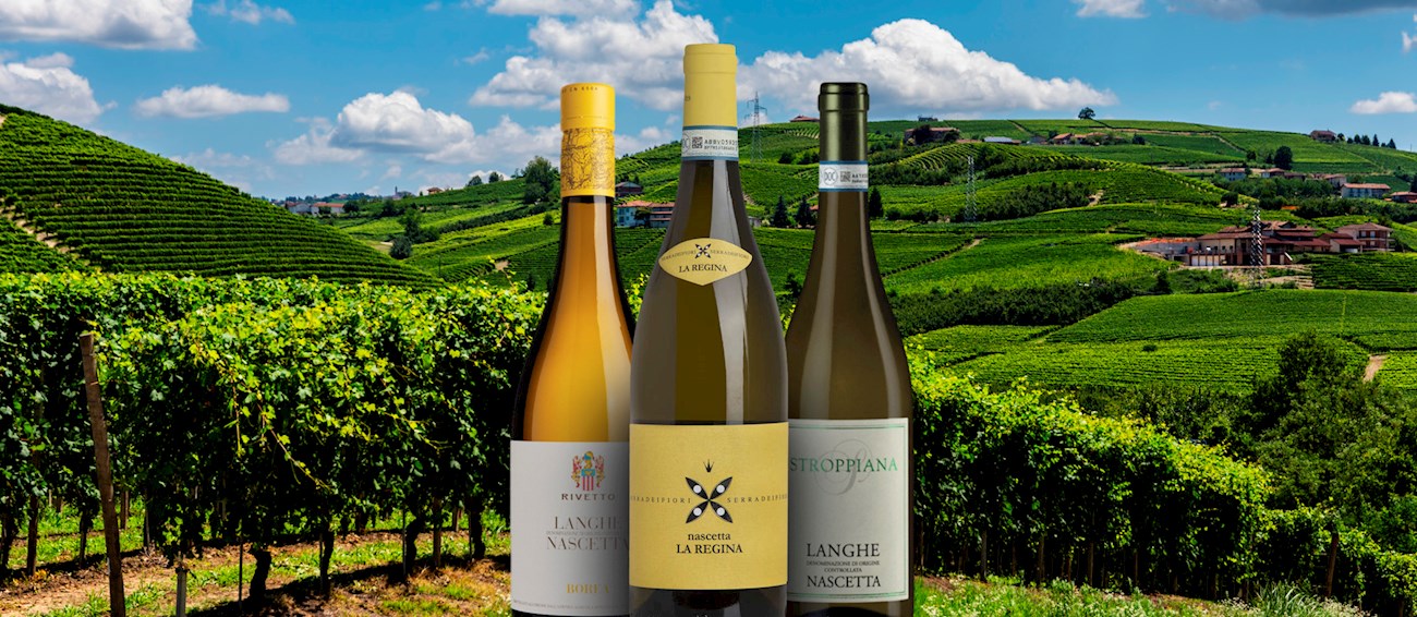 Nascetta Local Wine Variety From Novello, Italy
