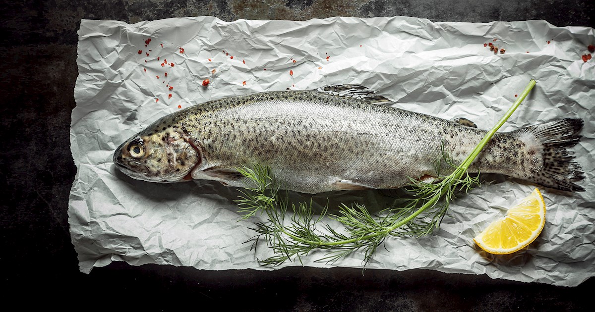 7 Best Fish in Eastern Europe - TasteAtlas