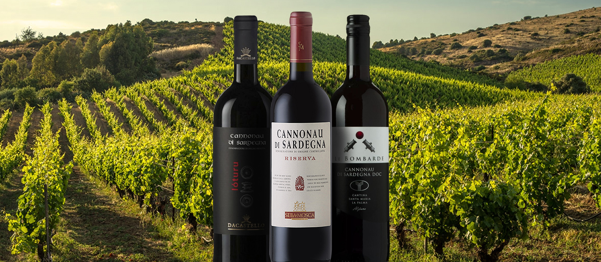 Cannonau di Sardegna | Local Wine Appellation From Sardinia, Italy