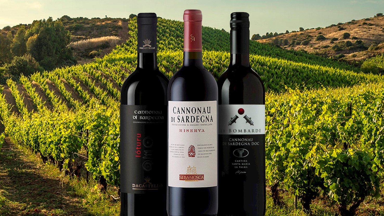 FotMob Profile: Zion Suzuki, the first Japanese goalkeeper in Serie A, image size:1476x830