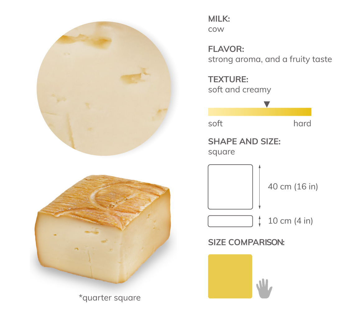 Taleggio Local Cheese From Province of Bergamo, Italy