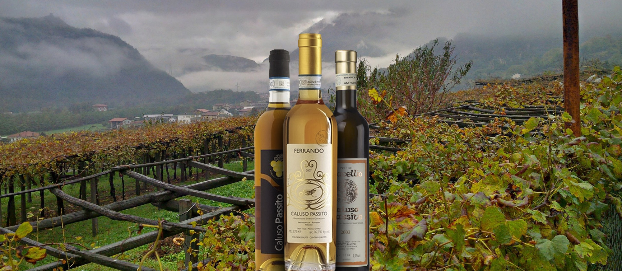 Erbaluce di Caluso Passito Local Wine Appellation From Piedmont, Italy