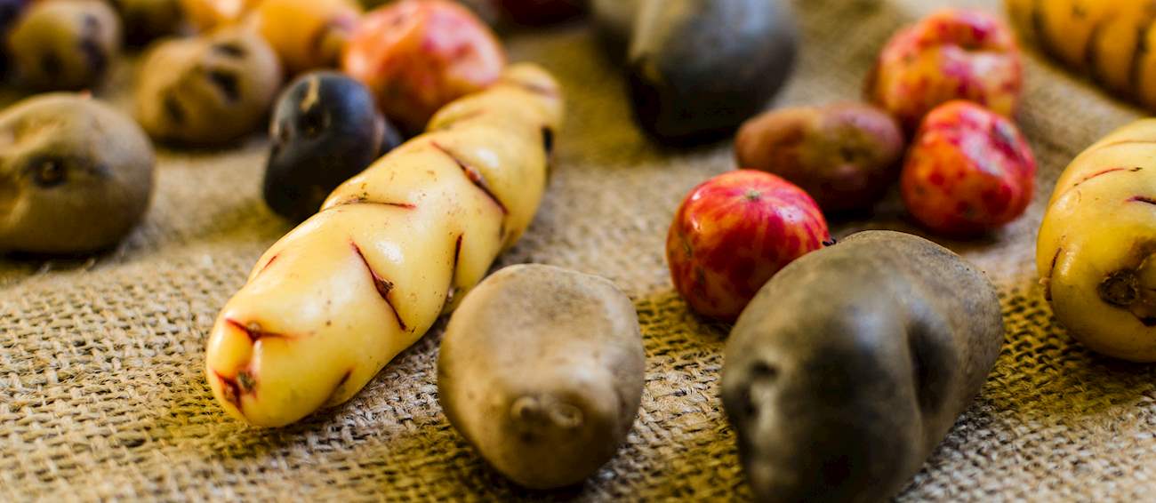 10 Most Popular Argentinian Vegetables TasteAtlas