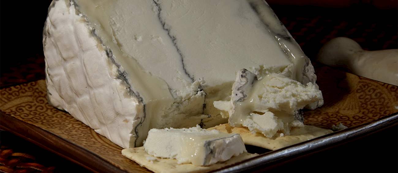 10 Most Popular Western American Bloomy Rind Cheeses