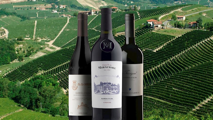 50 Most Popular Italian Red Wines TasteAtlas