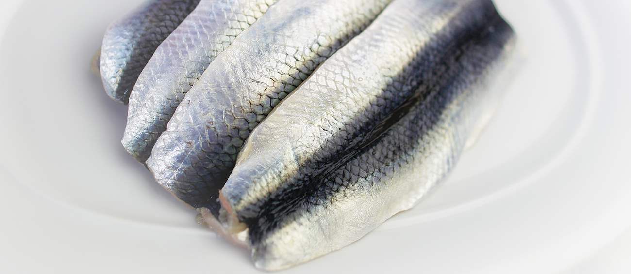 Alewife River Herring Local Freshwater Fish From Northeastern United