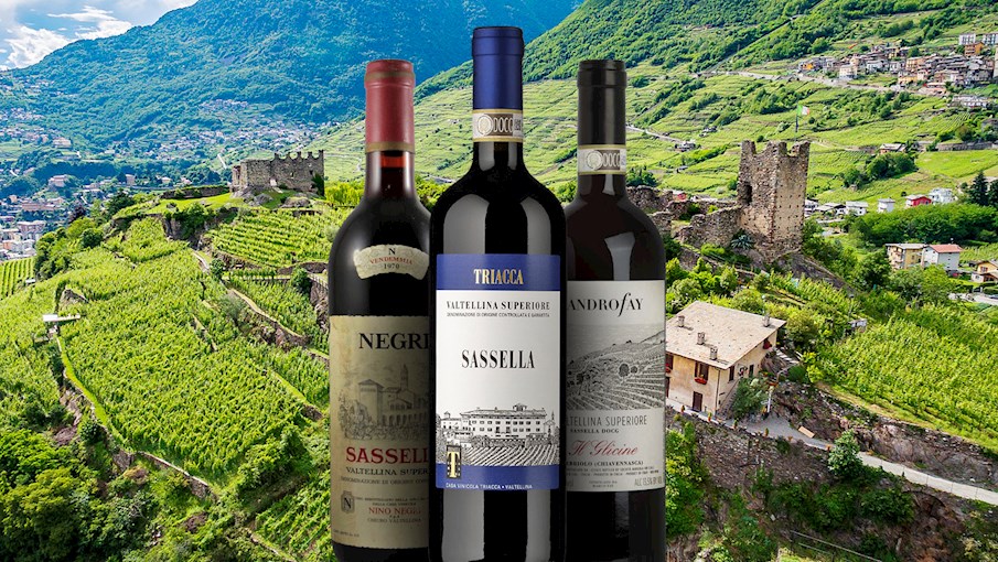 50 Most Popular Italian Red Wines Tasteatlas 