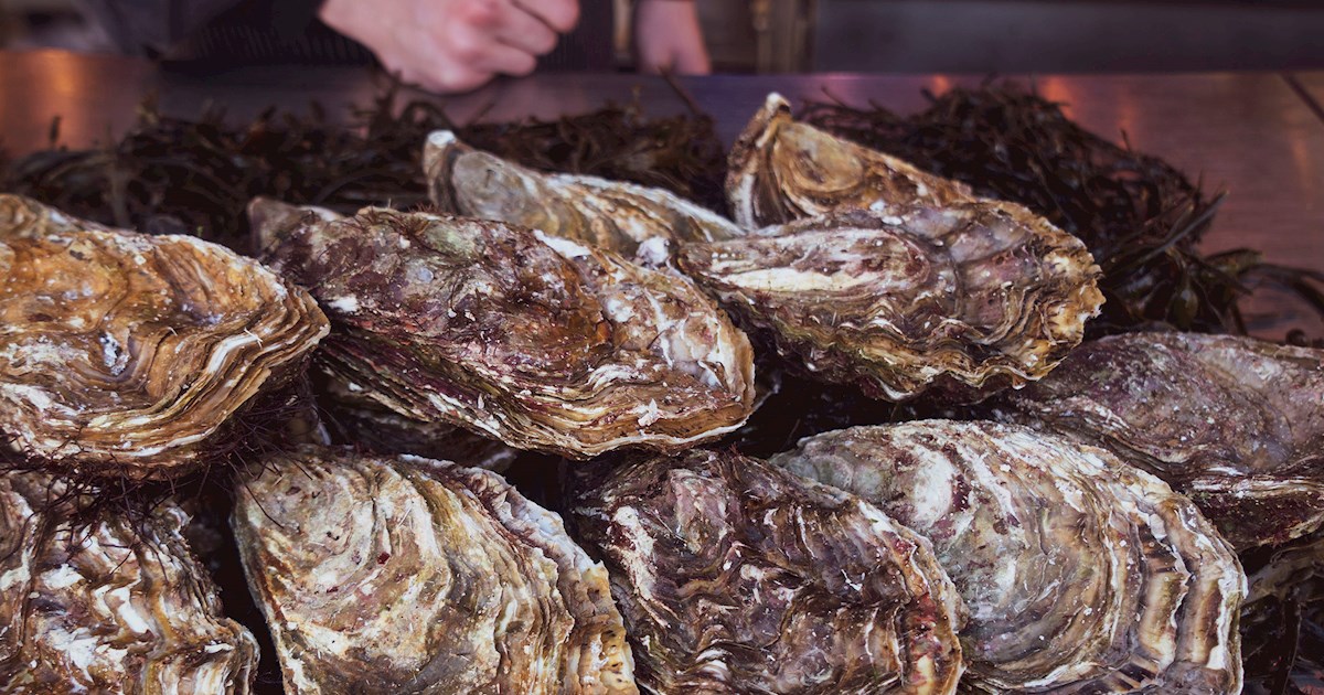 3 Best Oysters in Australia - TasteAtlas