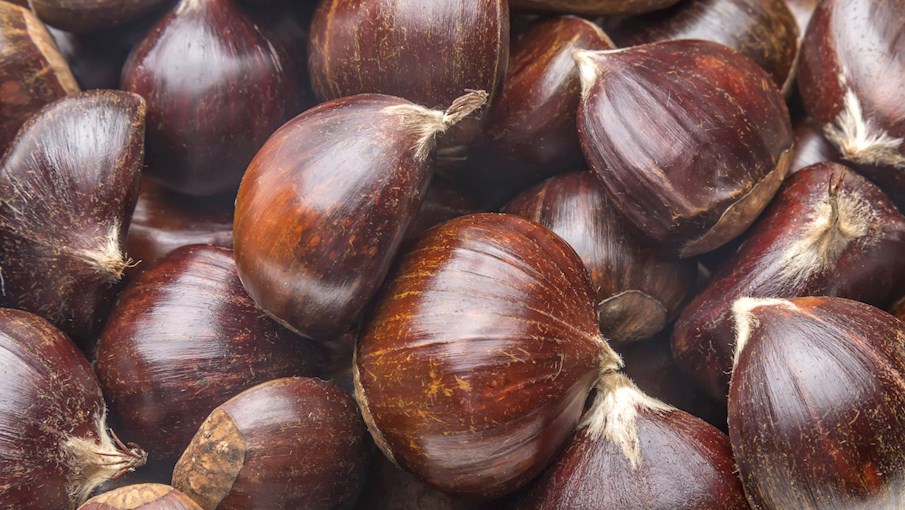 5 Most Popular Portuguese Nuts TasteAtlas