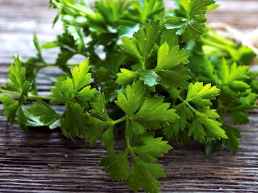 5 Most Popular Italian Herbs Tasteatlas