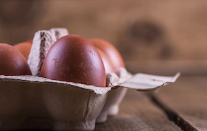 Œufs de Marans