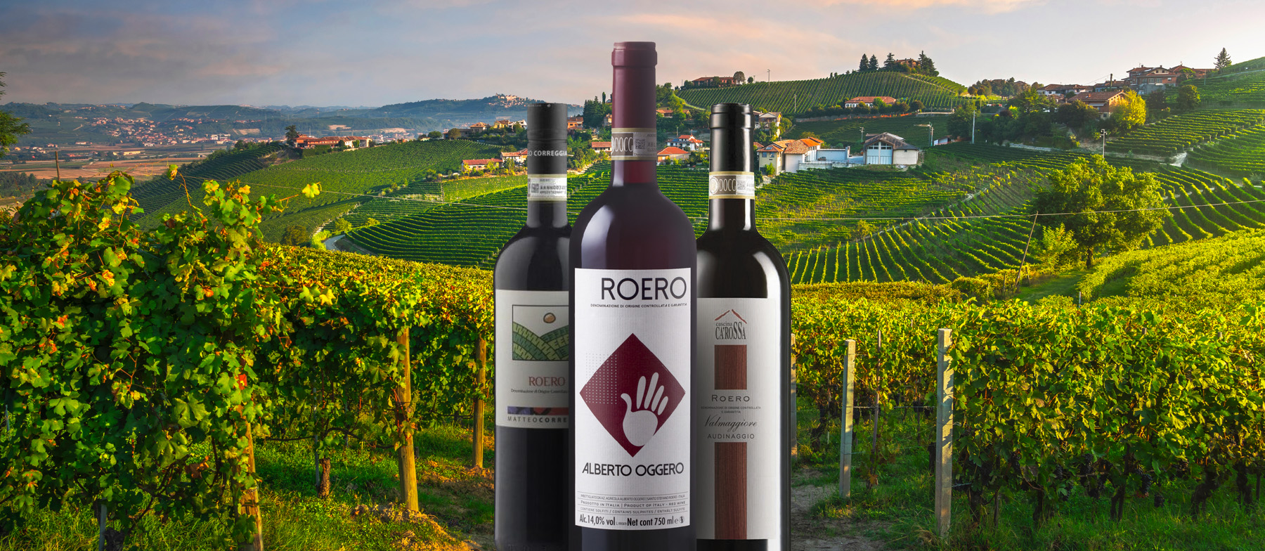 Roero Rosso Local Wine Appellation From Province of Cuneo, Italy