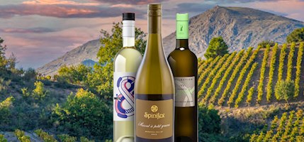 Muscat Blanc à Petits Grains