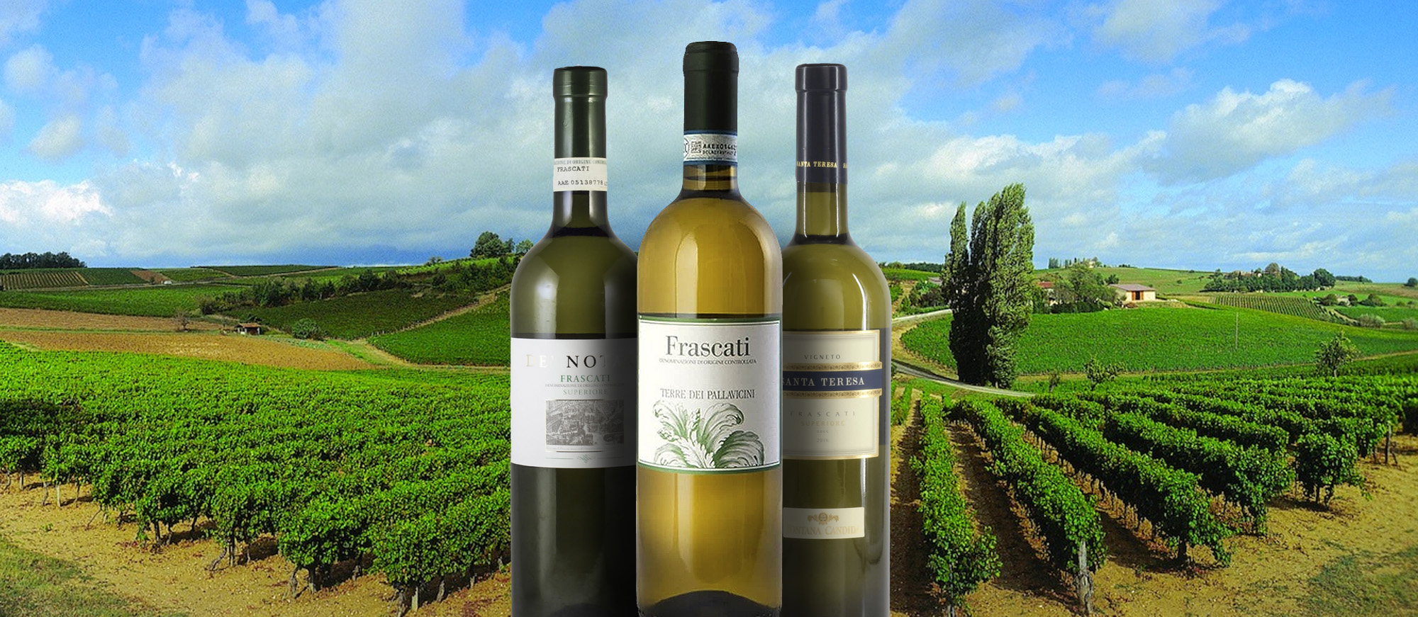 Frascati Superiore Local Wine Appellation From Metropolitan City of Rome Capital, Italy