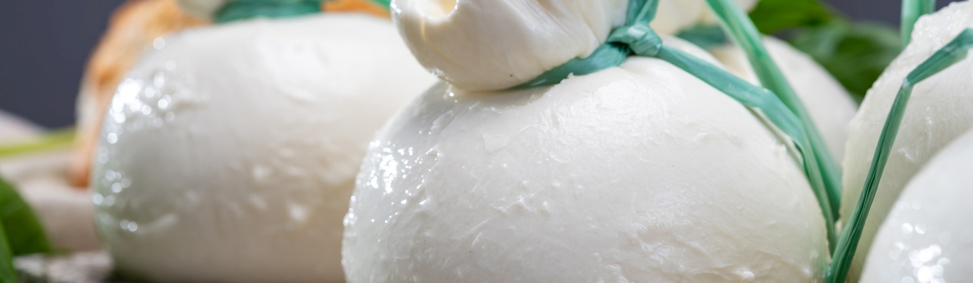 Top 16 Apulian Cheeses - TasteAtlas, image size:1920x560