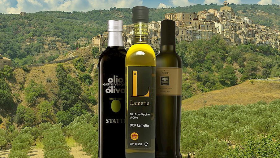 4 Most Popular Calabrian Olive Oils TasteAtlas