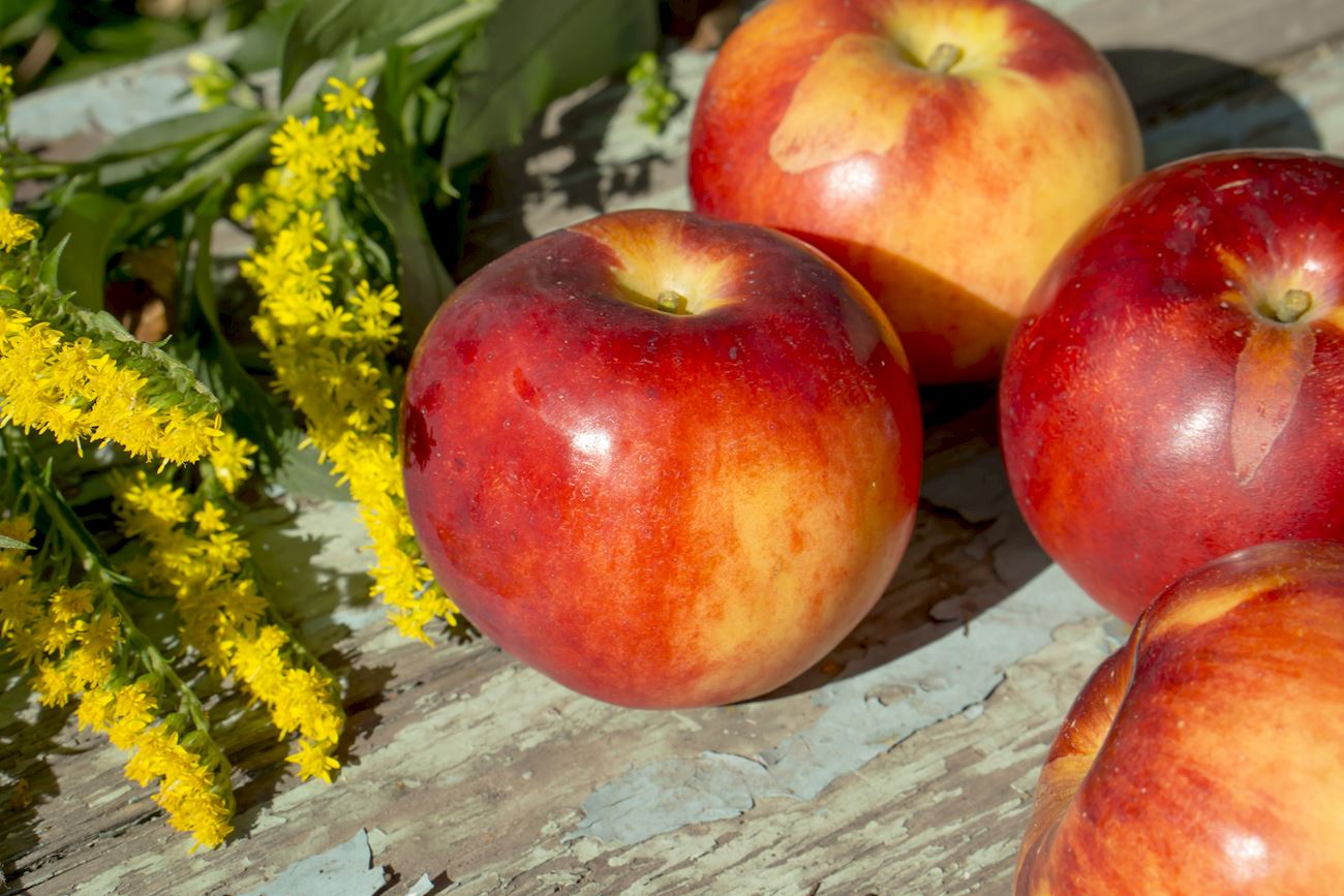 Breeze Apples Local Apple Variety From New Zealand