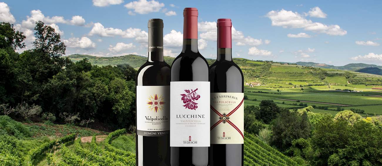 Valpolicella | Local Wine Appellation From Province of Verona, Italy