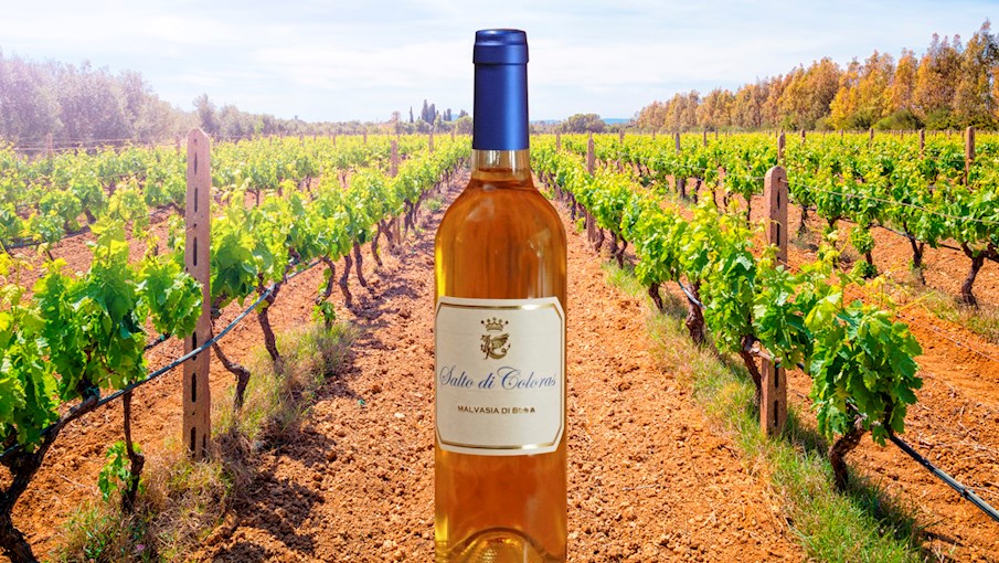 4 Most Popular Sardinian Dessert Wines TasteAtlas