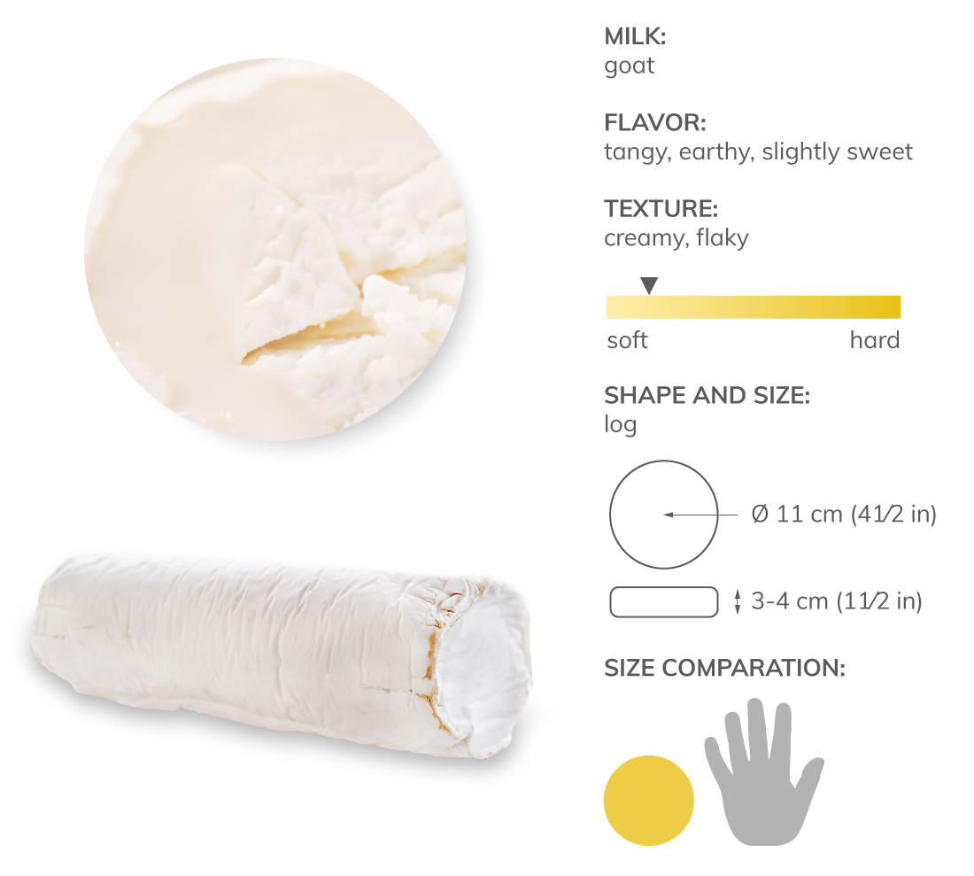 Buche de Chevre Local Cheese From PoitouCharentes, France TasteAtlas