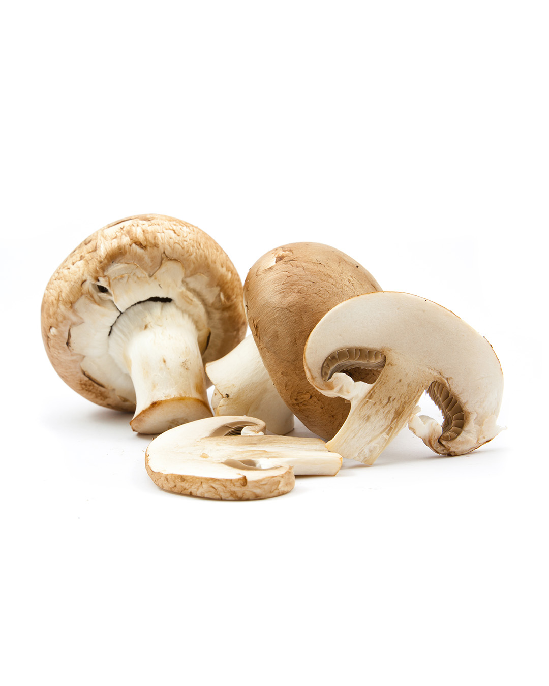 59s france キノコ図鑑 Champignon de France Mushrooms (french