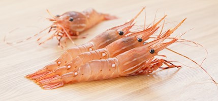 Spot prawns