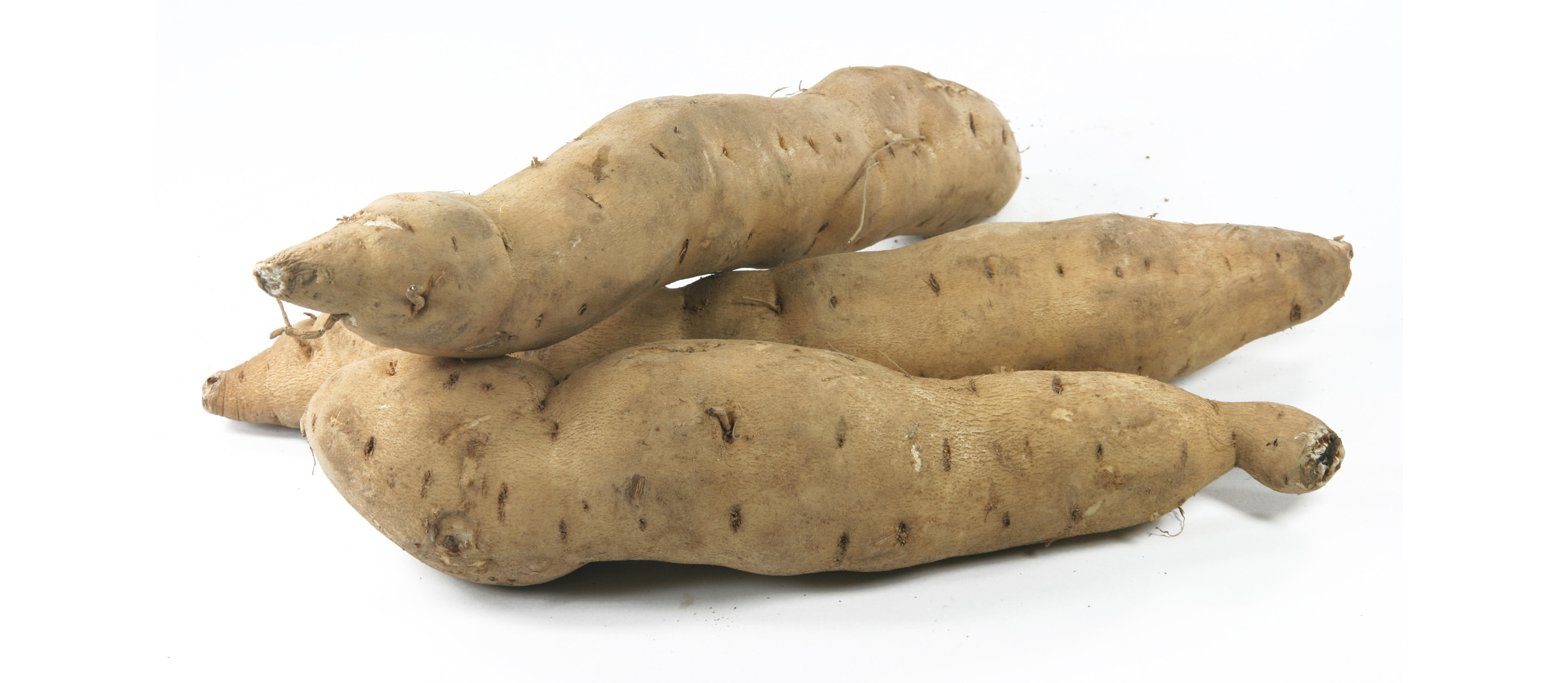 Tongan Potato : Sweet Potatoes Of The World 14 Sweet Potato Types Tasteatlas : All root crops ...