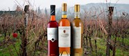 10 Most Popular Italian Dessert Wines TasteAtlas