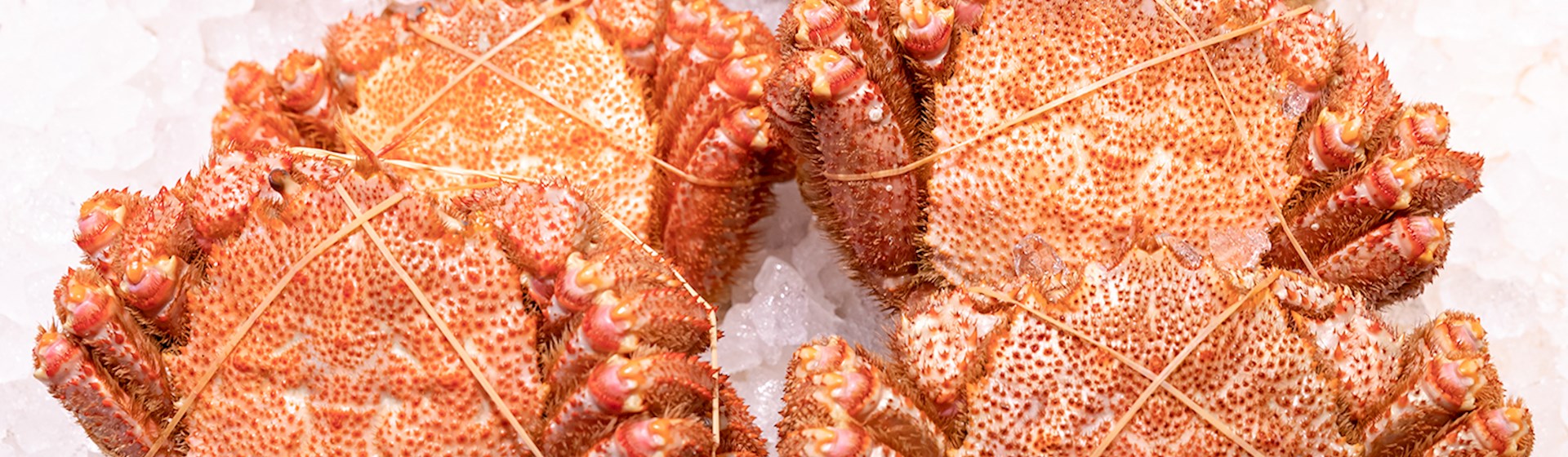 8 Best Shellfishes in Asia - TasteAtlas