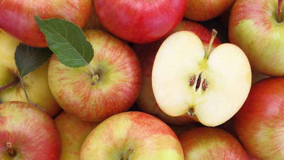 10 Most Popular Southern American Fruits (types And Products) TasteAtlas