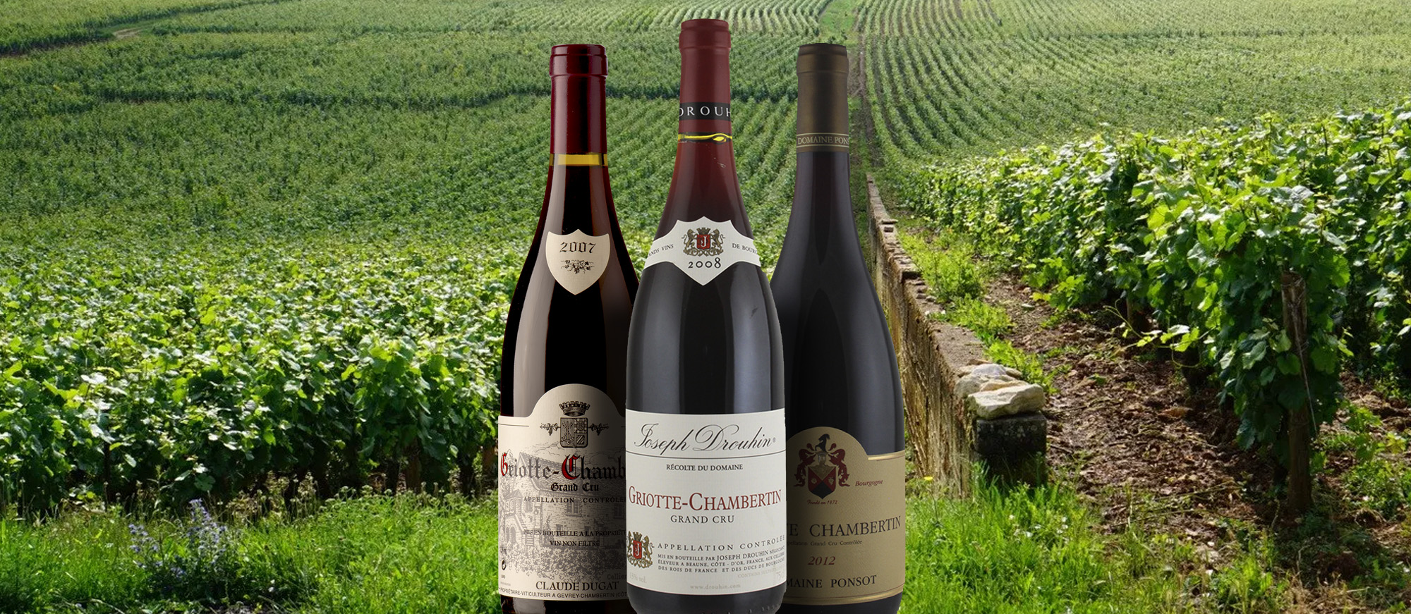 Griotte-Chambertin | Local Wine Appellation From Côte-d'Or, France