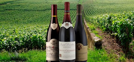 Griotte-Chambertin