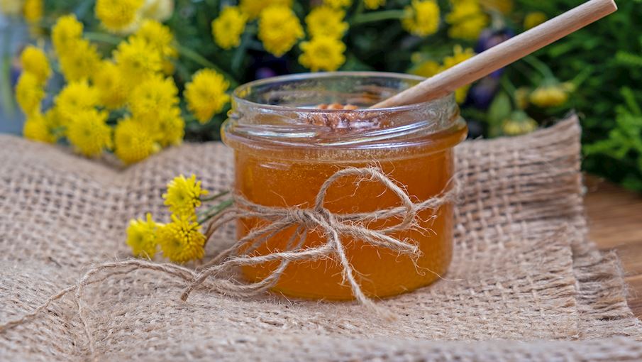 50 Most Popular Honeys in The World TasteAtlas