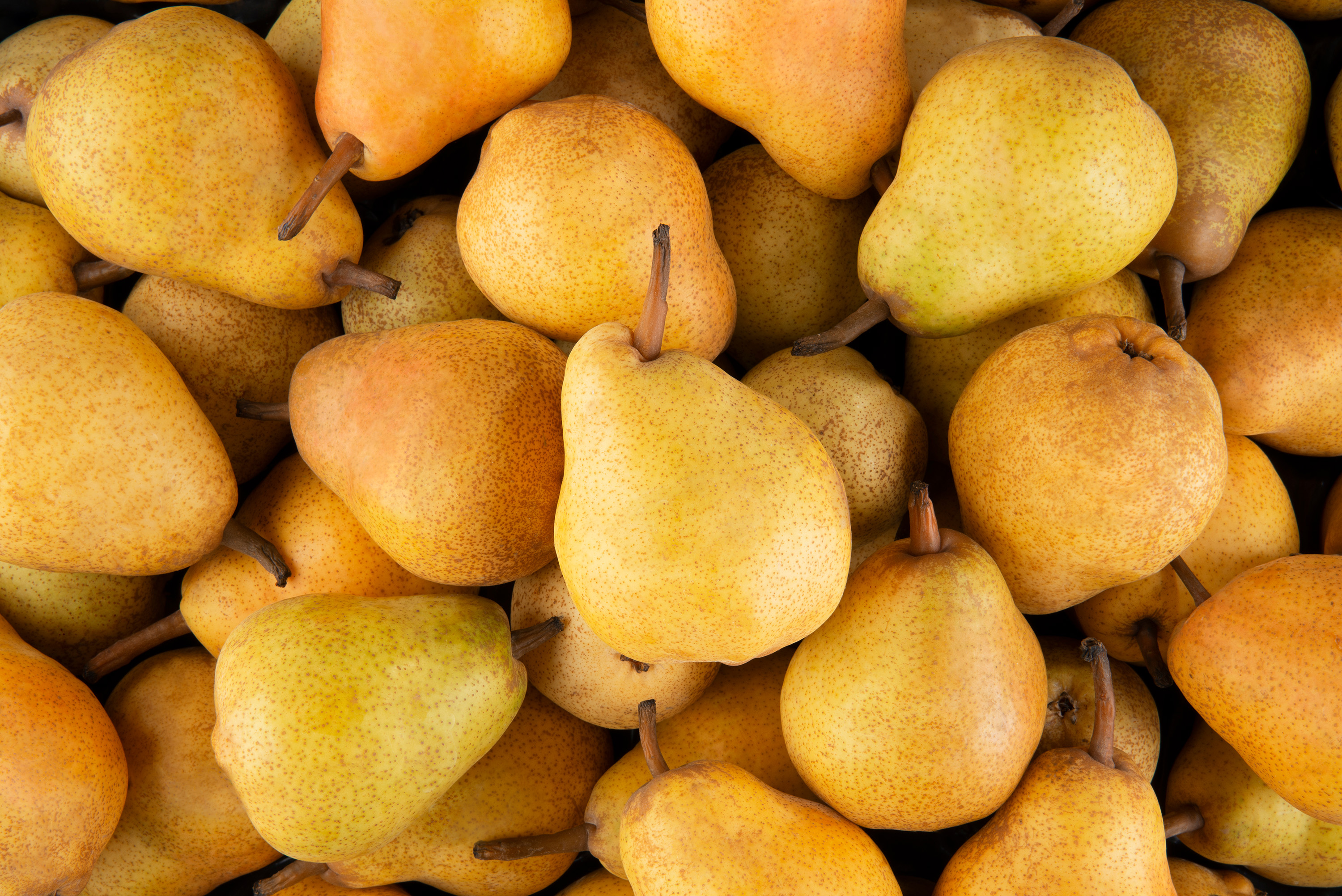 most-popular-pears-in-the-world-tasteatlas