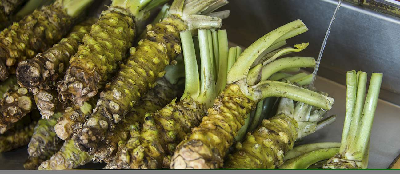 Wasabi local plant from japan
