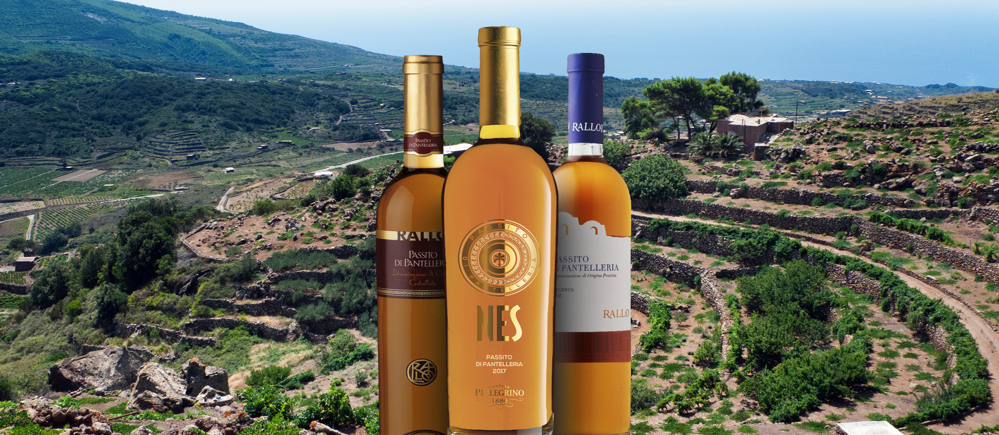 10 Most Popular Italian Dessert Wines TasteAtlas